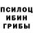 Галлюциногенные грибы GOLDEN TEACHER ROBLOKS_ MEN