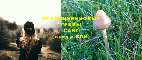 каннабис Алзамай