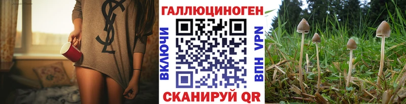 Псилоцибиновые грибы Psilocybine cubensis  omg как зайти  Балашов  купить наркоту 