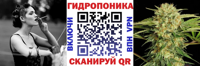 Бошки Шишки план  Балашов 